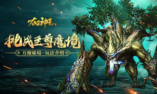 酒泉新观:超万面定日镜“绽放”戈壁小镇