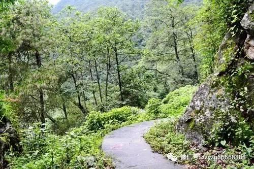 默默做事努力的打磨自己的演技——张子枫