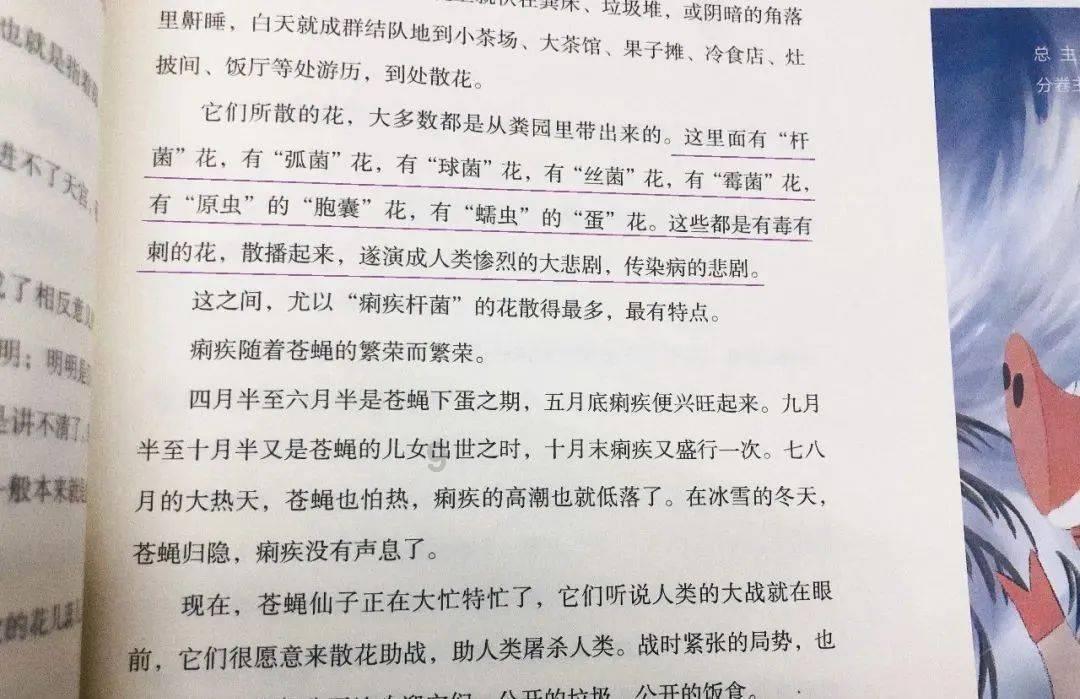 白化摇篮曲