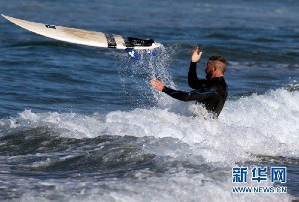 小猫钓鱼正版下载中文版