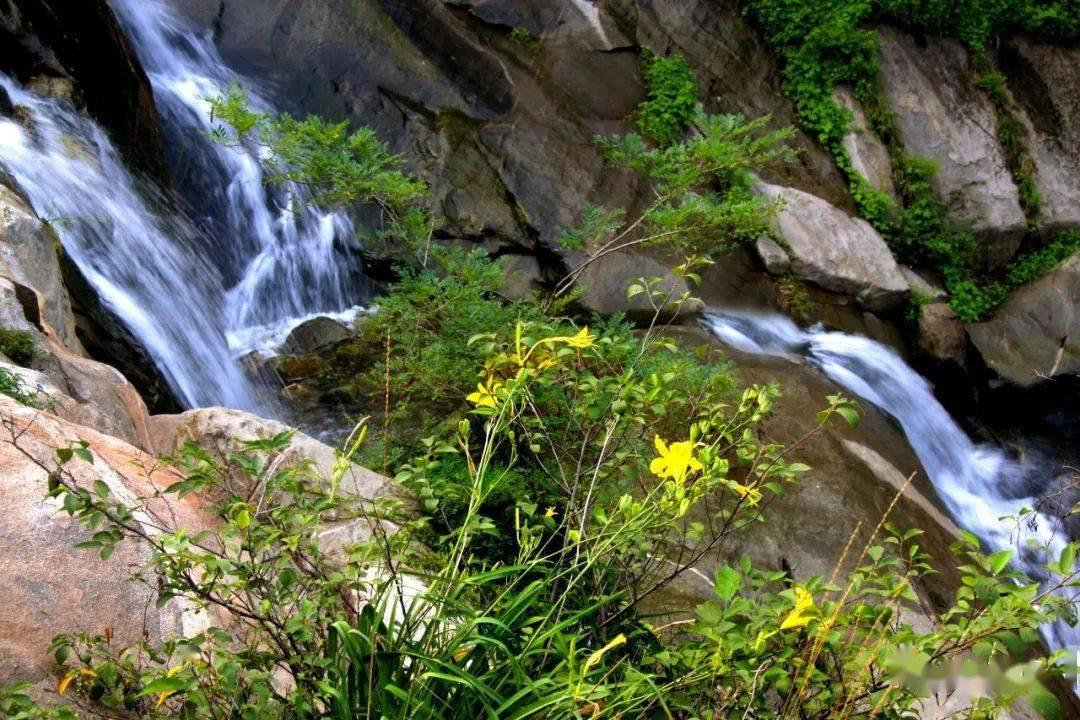 午评：氧化铝、沪锌涨超2%