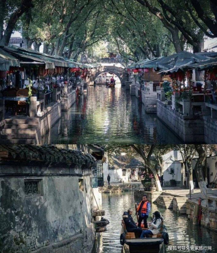 动物帮帮忙保卫家园